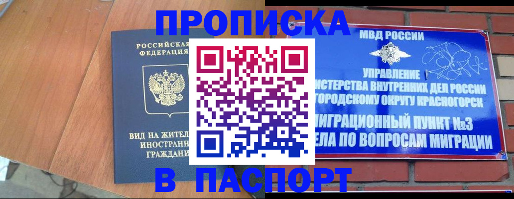 найти адрес прописки в Белой Холунице